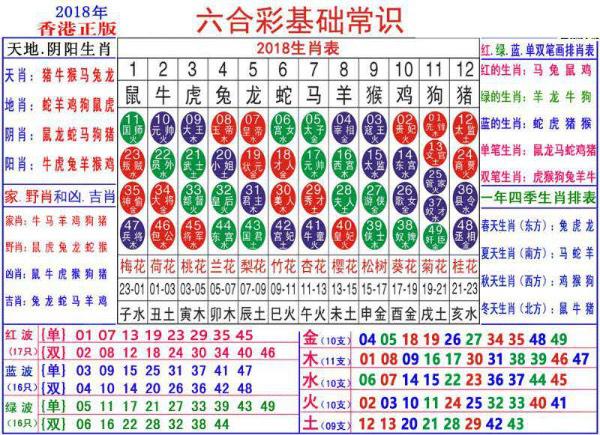 澳门正版资料大全资料生肖卡-综合研究解释落实