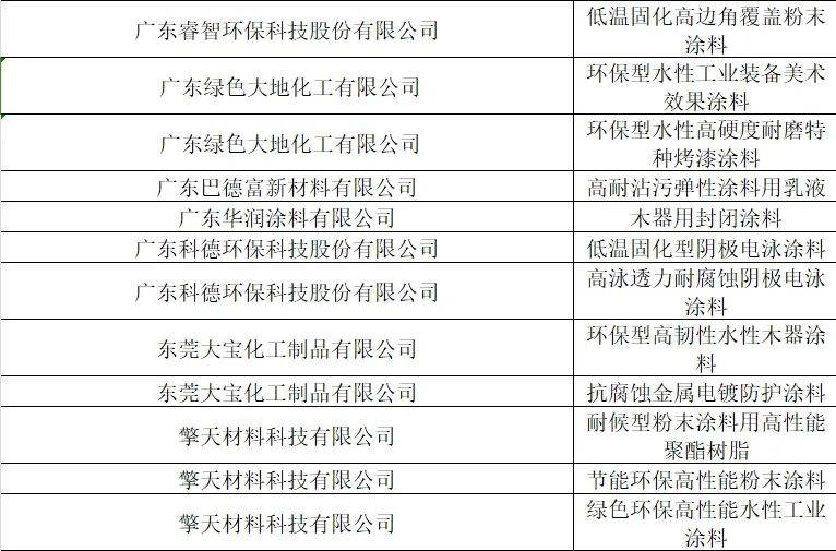 广东粤鹏化工有限公司，历史、现状与未来展望