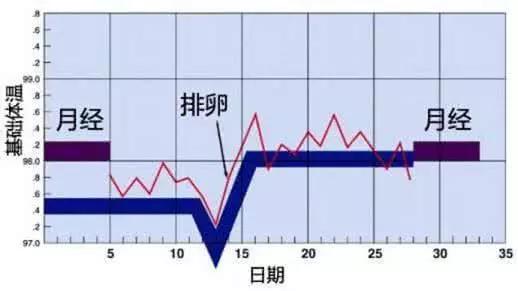 月经周期提前，原因、影响与管理策略