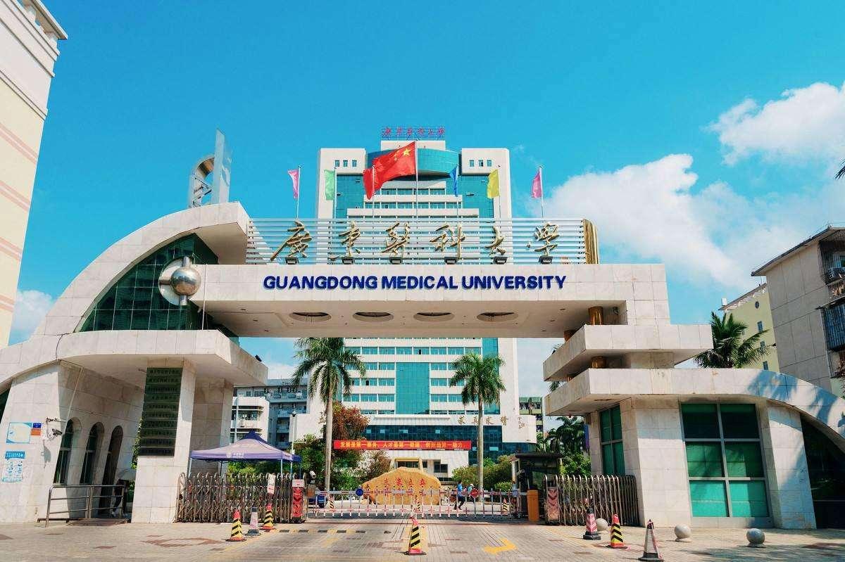 广东省的大学概览