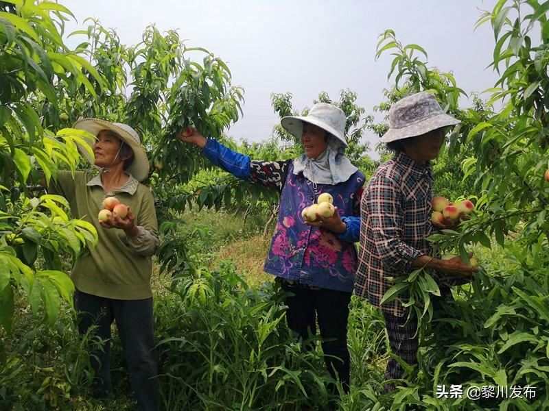 江苏省金发科技，从起步到腾飞的发展之路