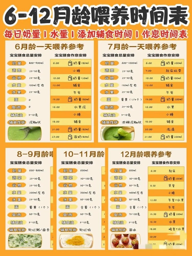 十一个月宝宝辅食时间安排指南