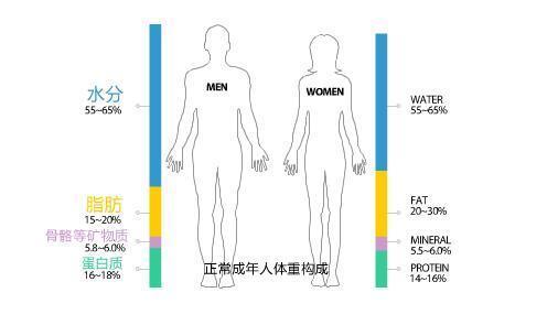 三个月的瘦身之旅，你能减掉多少体重？